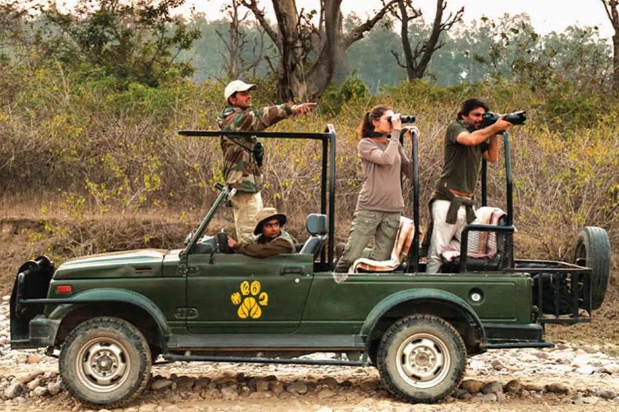 Jungle Safari Planner